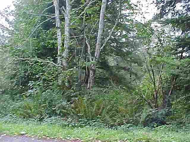 1st image of 0 Roy Ave
