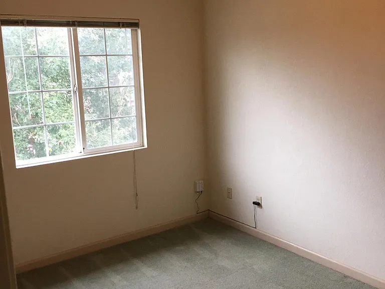 37086 Mulberry St #D — Photo 10