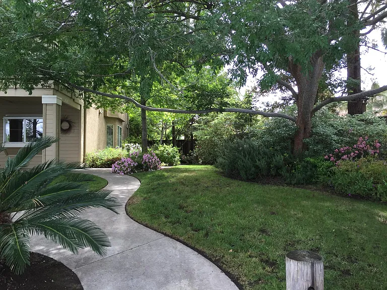 Side yard