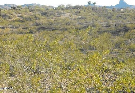 4th image of 0 W COUNTY LINE 19.48 ac -- #0