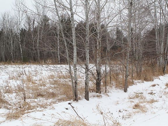 4th image of Xxx Bean Road Hinckley Twp