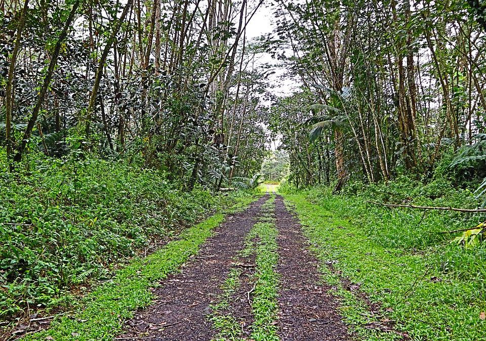 2nd image of Ginger Rd Lot 504