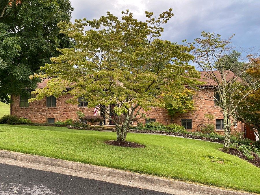 1st image of 1803 New Haven Dr
