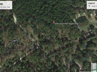 1046 Wolf Pen Island Rd, Ellabell, GA 31308