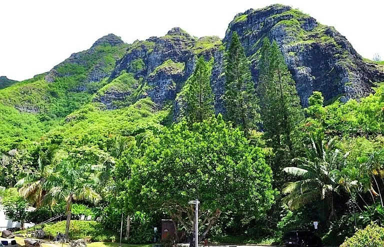 51-636 Kamehameha Hwy #211 — Photo 4