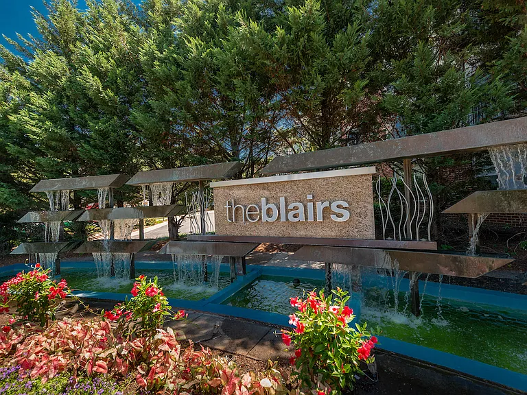 The Blairs — Photo 24