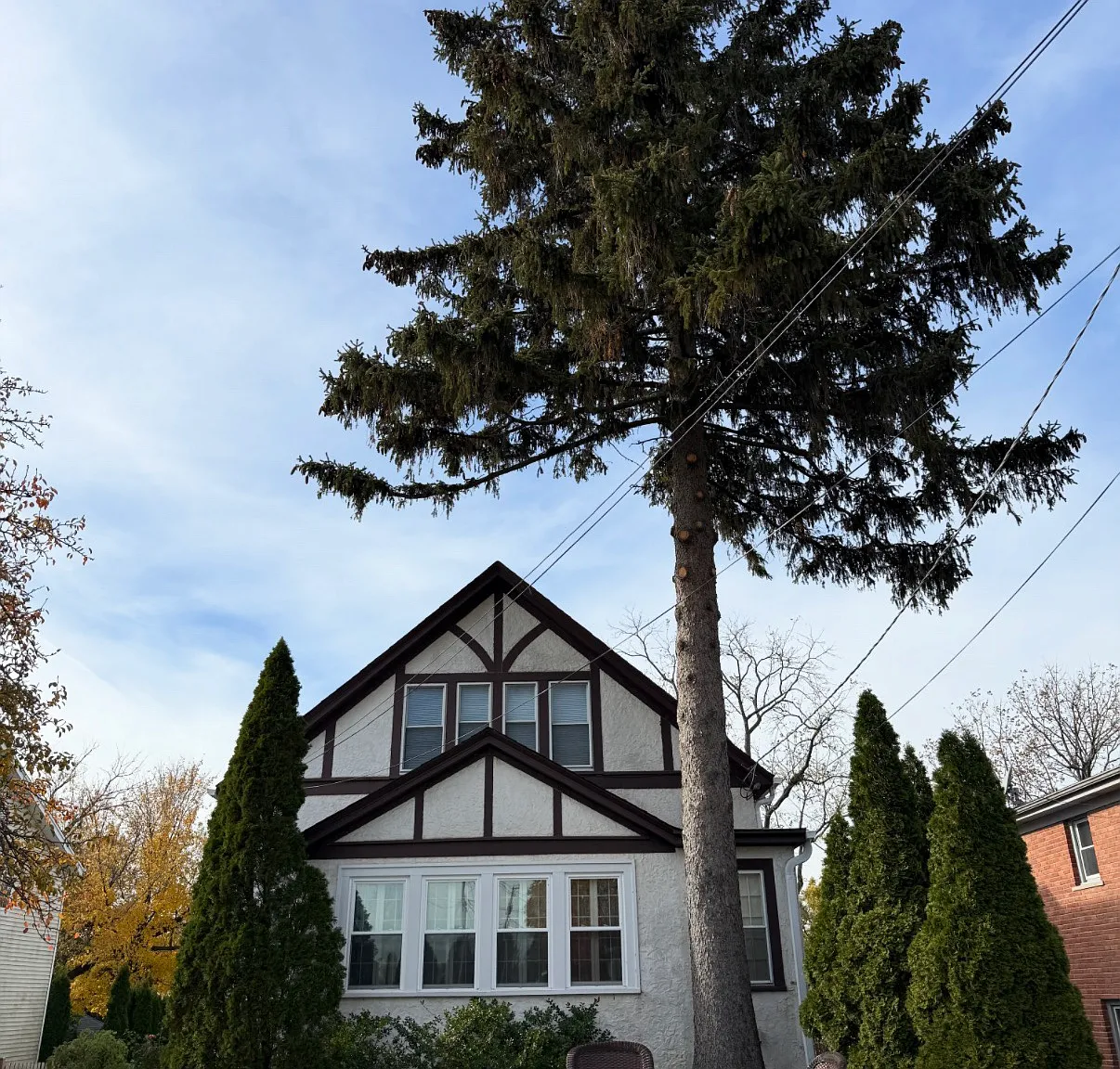 S Central Ave, Highwood — Photo 1