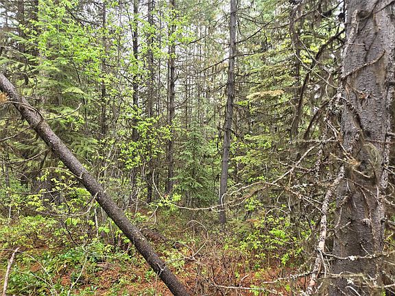 2nd image of TRACT 20 Nine Mile Rd