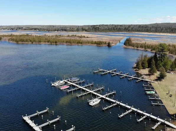 6130 Link Blvd, Indian River, MI 49749