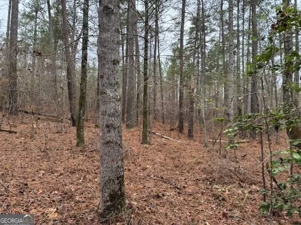 0 Pike Rd, Franklin, GA 30217