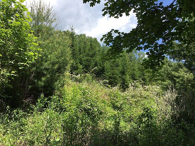 2nd image of 922 Taylor Creek Rd