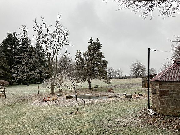 The pond and wood fired pizz