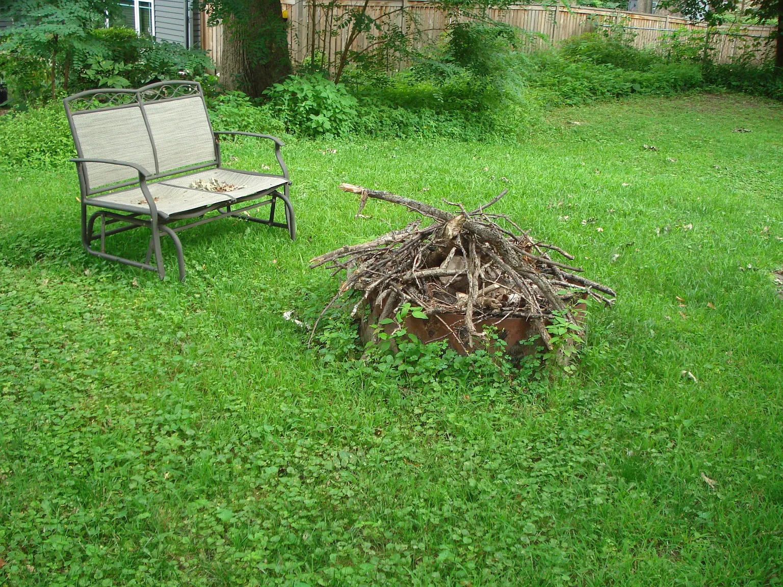 3 bed, 1600 sqft, $2,450 — Photo 4