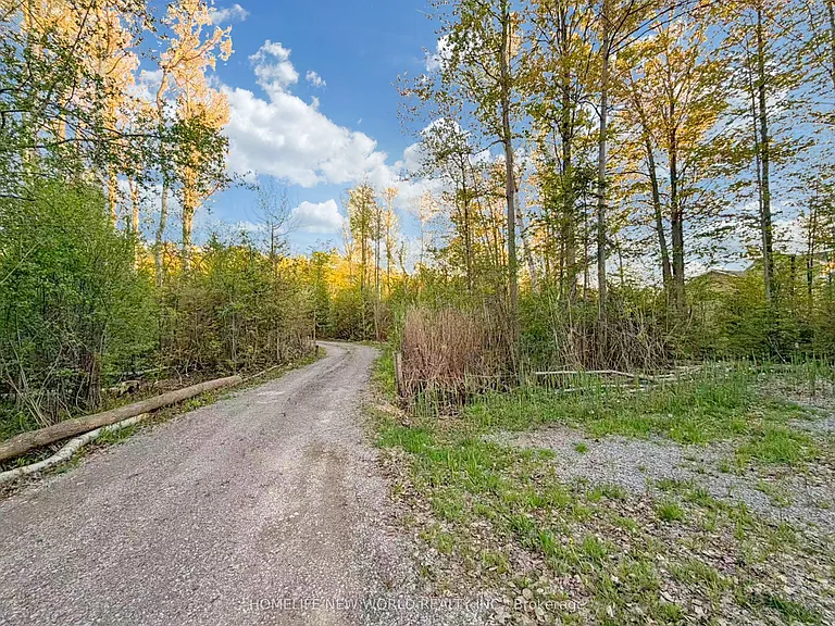 3370 Ravenshoe Rd — Photo 28