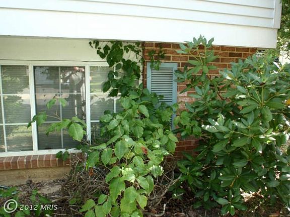 4th image of 6537 Fairland St