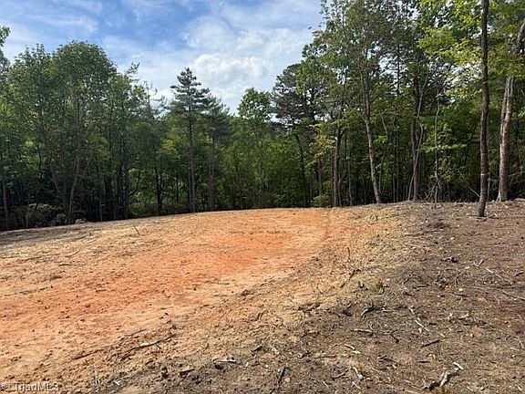 3rd image of 0 Chestnut Mountain Farms Pkwy Lot 54