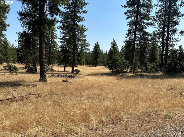 LOT 13 Greyback Mountain Road 13, Goldendale, WA 98620