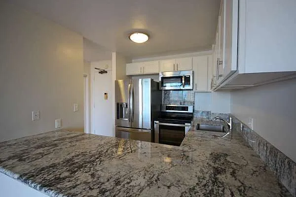Upgraded 1 Bedroom, 1 Bathroom, 1 Parking-condo in Kukui Plaza! — Photo 3