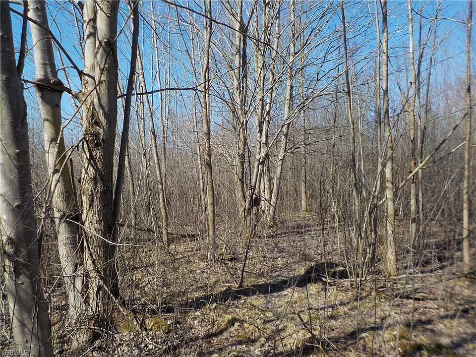2nd image of Plank Rd