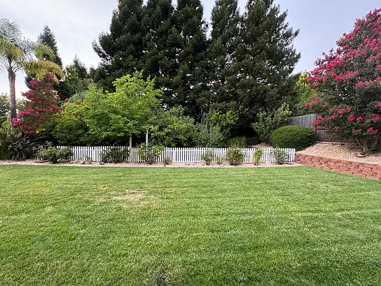 Cliffwood Dr — Photo 10