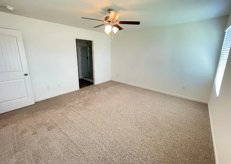 229 Chelsea Park Cir — Photo 10