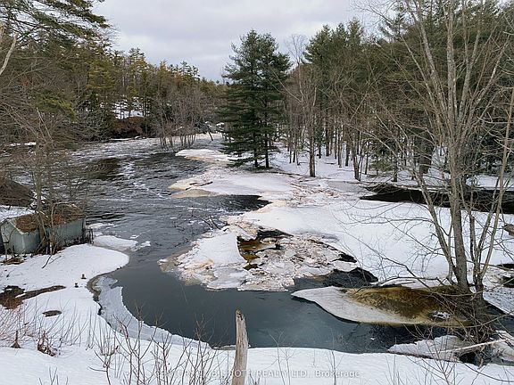 4th image of 8101 Kings River Rd