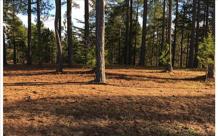 1st image of LOT 58 Sanctuary Trce