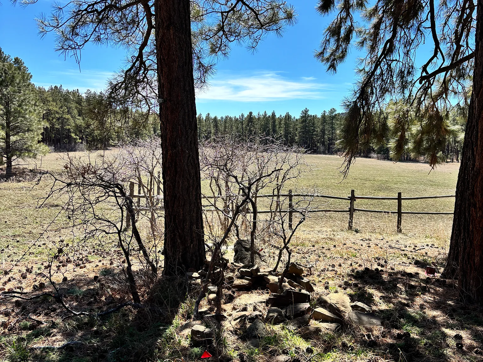 3 bed, 1200 sqft, $3,000 — Photo 1