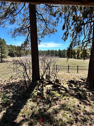 730 County Road 503 Photo 1