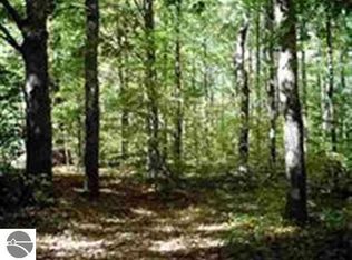 Reynolds Rd, Lake Ann, MI 49650