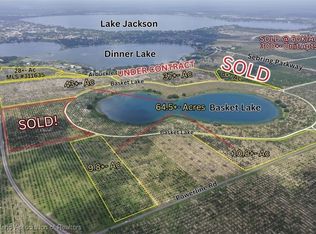 1115 Basket Lake Rd, Avon Park, FL 33870