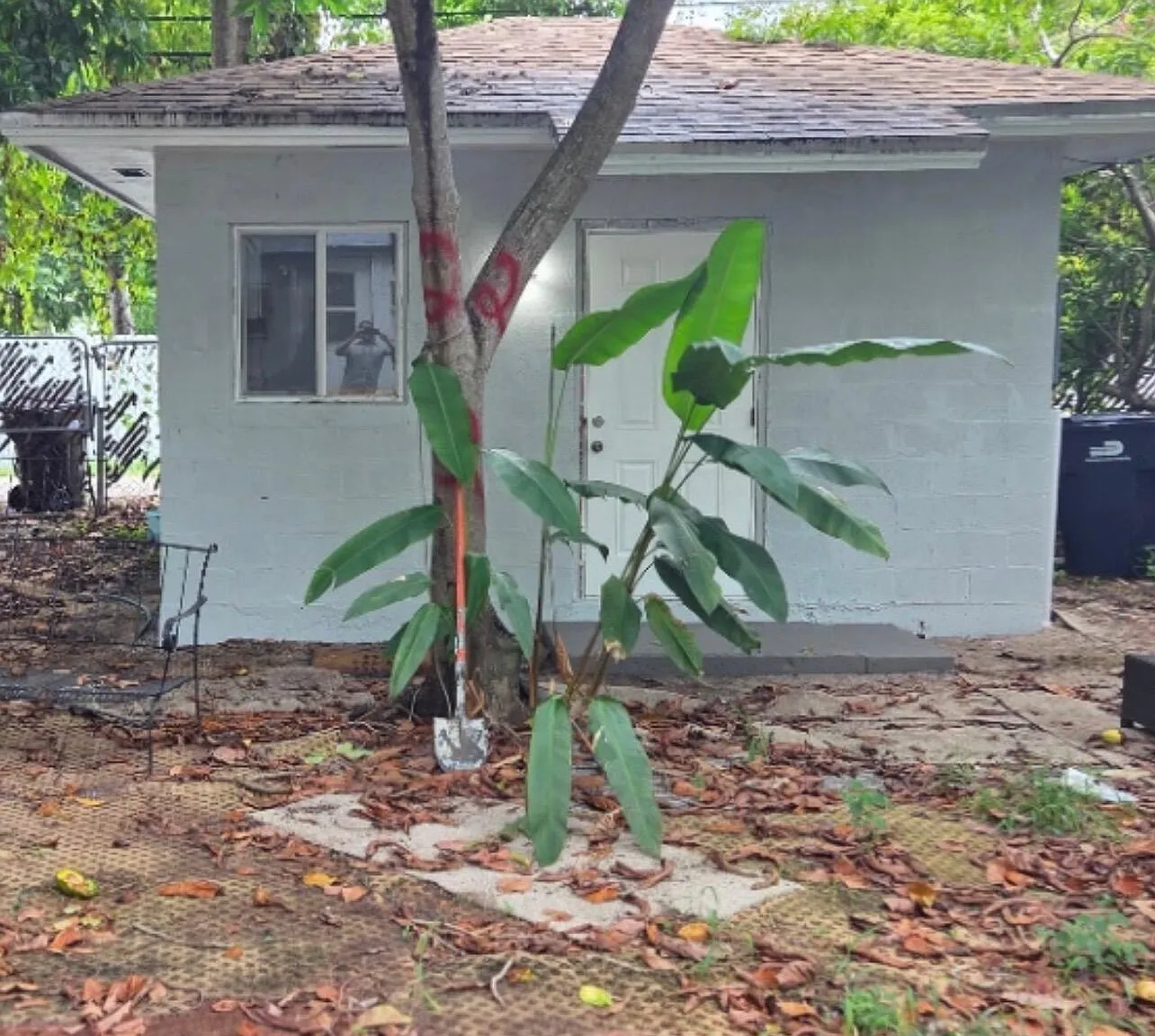 1 bed, 1.0 bath, 1009 sqft, $1,200 — Photo 2