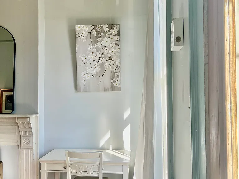 1433 Euterpe St — Photo 3