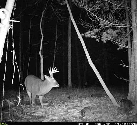2nd image of 0 Culberson Rd