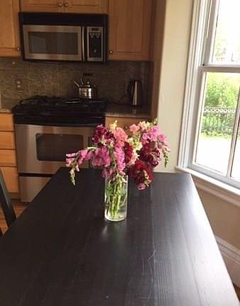 5th image of 26-28 Mount Auburn St #26-1