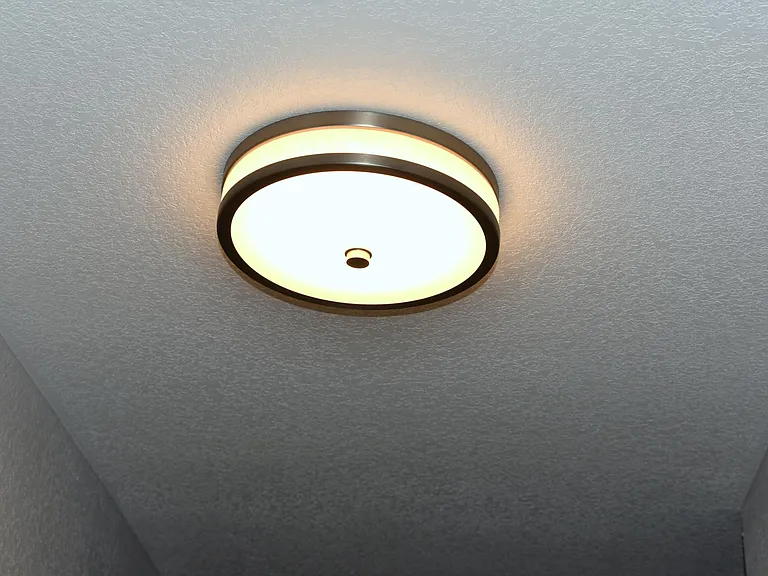Hall ceiling light