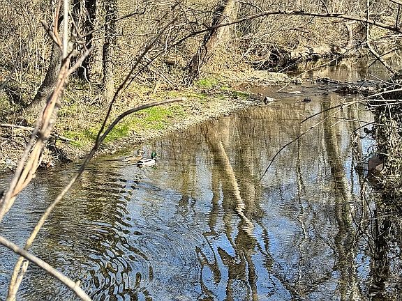 2nd image of 0 Locust Grove Rd