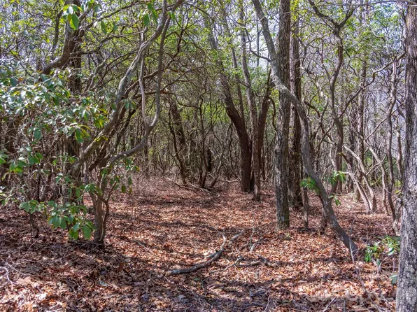 14 Lakeside Dr, Lake Toxaway, NC 28747