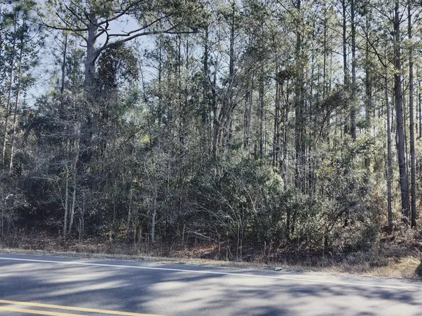 0 Shaw Highway, Rocky Point, NC 28457