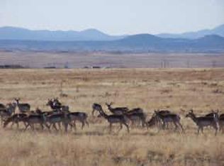 0 E Dawn To Milky Way #5, Prescott Valley, AZ 86315