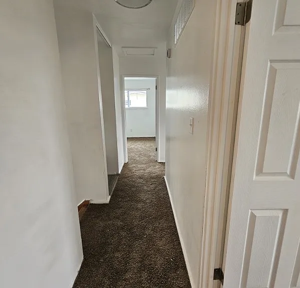 7 Evergreen Dr — Photo 12