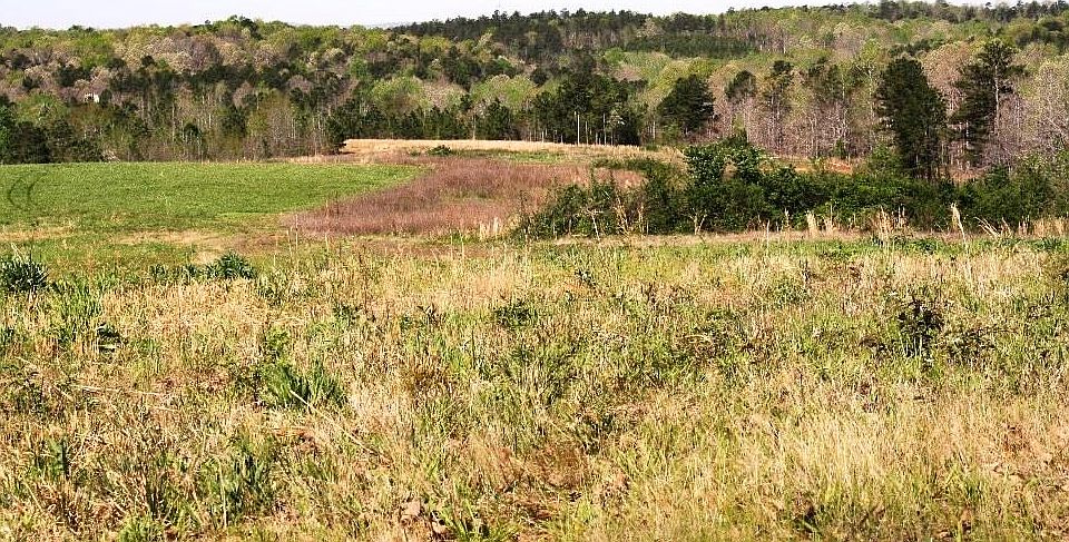 1st image of 1554 County Road 208