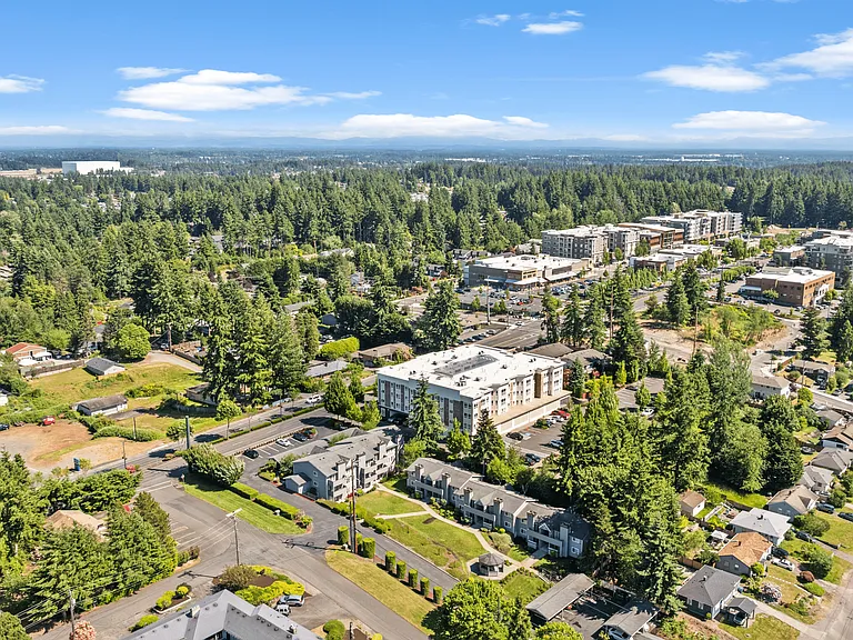 Aerial View of Community