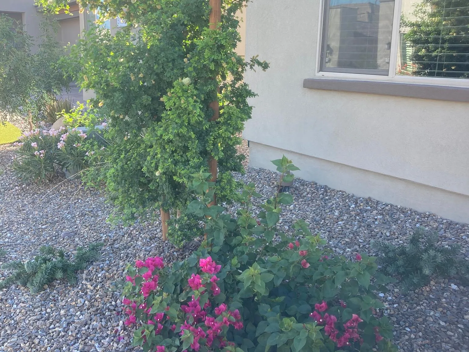 51568 Golden Eagle Dr — Photo 3