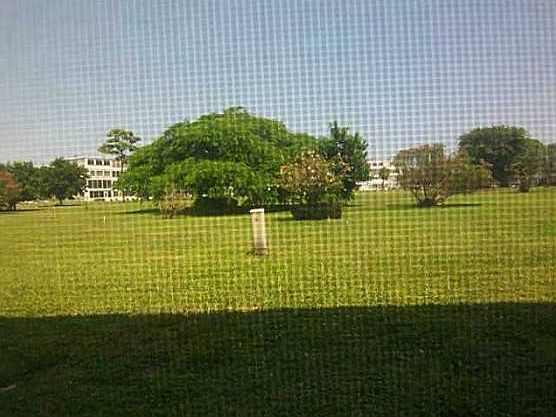 1st image of 1067 Lyndhurst N
