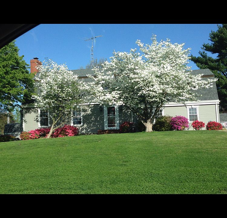 1st image of 728 Mary Anne Dr