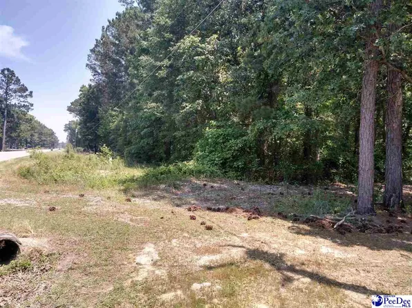 0 Pineview Rd Lot 53, Bennettsville, SC 29512