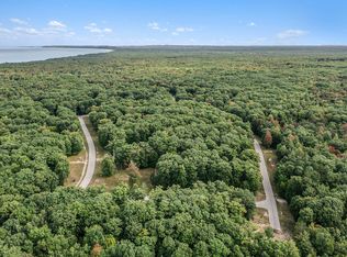 LOT 10 Pine Ave, Mears, MI 49436