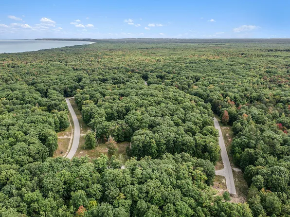 LOT 4 Pine Ave, Mears, MI 49436