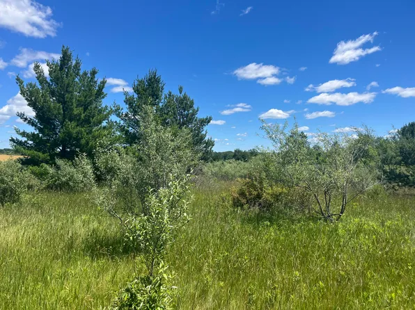 S Stiles Rd, Scottville, MI 49454